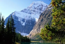 碰撞火花！全球顶尖球队角逐擂台