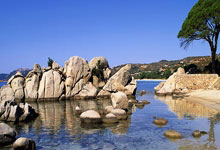 碰撞火花！全球顶尖球队角逐擂台