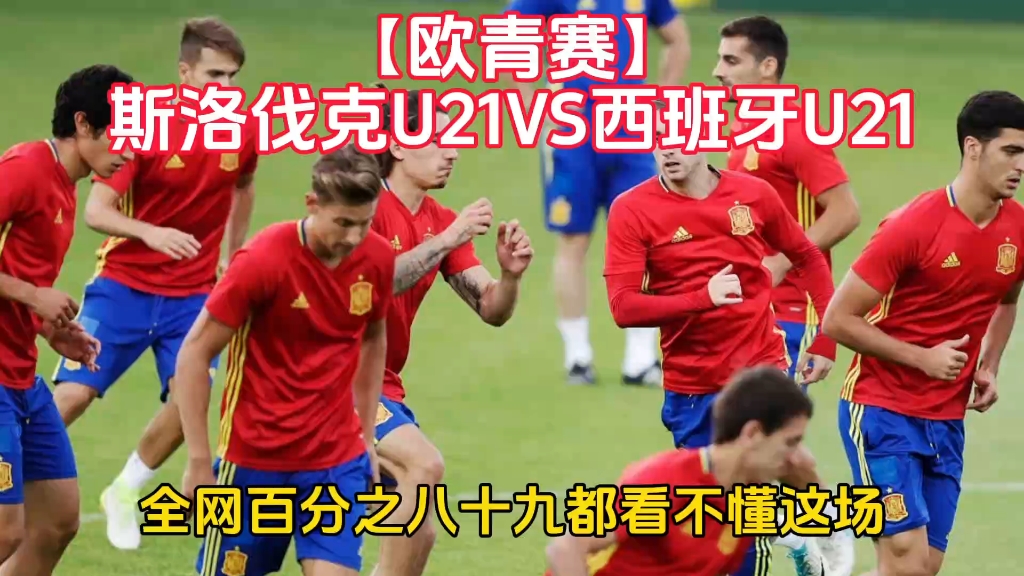 关于斯洛伐克队备战欧预赛，誓言突破困境的信息