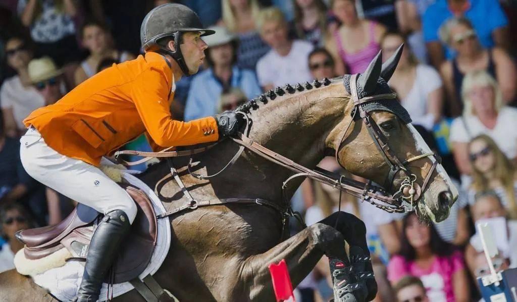 aoa体育娱乐-荷兰骑手表现出色，凭借优势轻松夺冠！