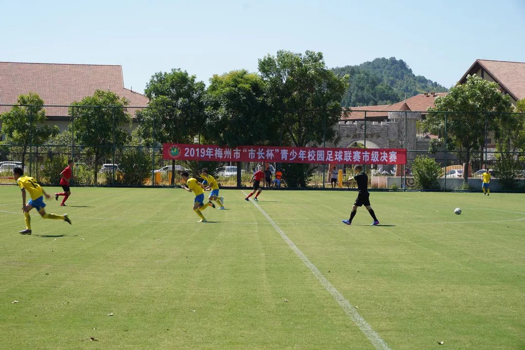 aoa体育活动-关于国际区域性比赛打响，谁能脱颖而出的信息